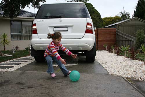 Vehicle reverse camera pretection from hidden dangers